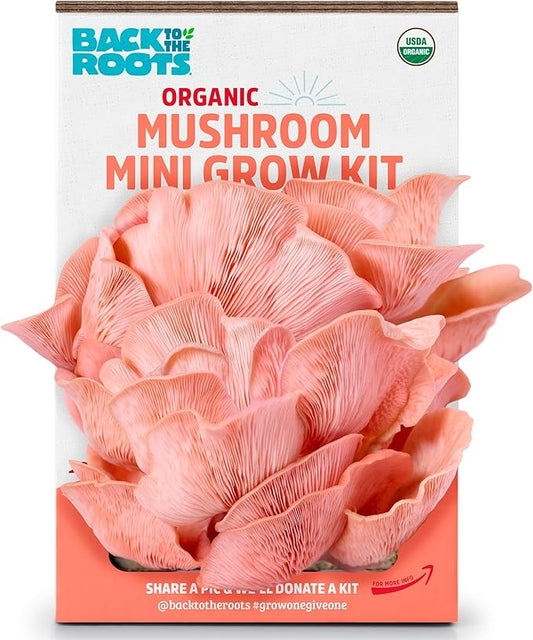 Back to The Roots Organic Pink Miniature Mushroom Grow Kit, Harvest Gourmet Mushrooms in 10 Days