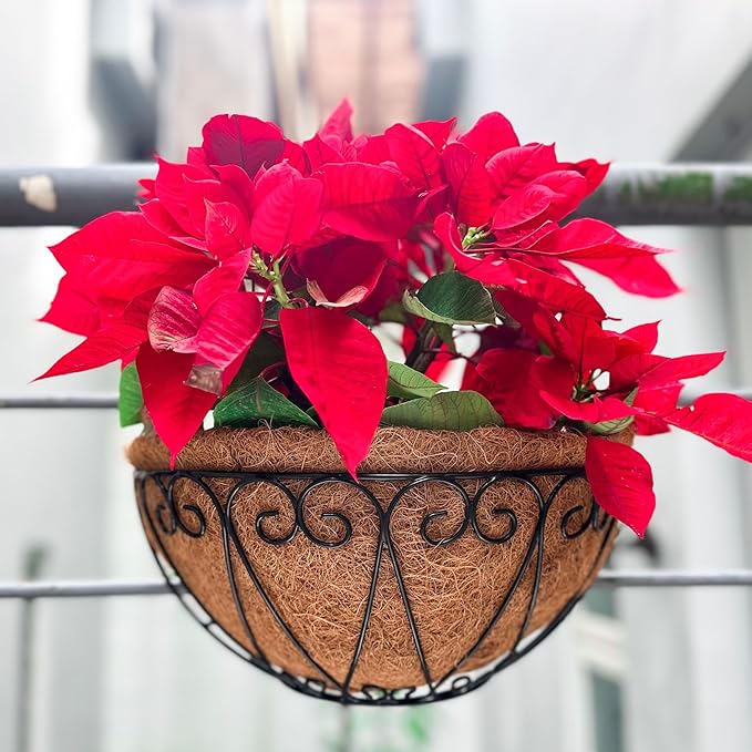 LaLaGreen Outdoor Wall Planters (4 Pack, 12 Inch) Black Metal Wall Mounted Hanging Basket with Coco Liner, Flower Pot Plant Holder Semi-Circle Planter for Fence Railing Deck Porch Balcony Garden Decor