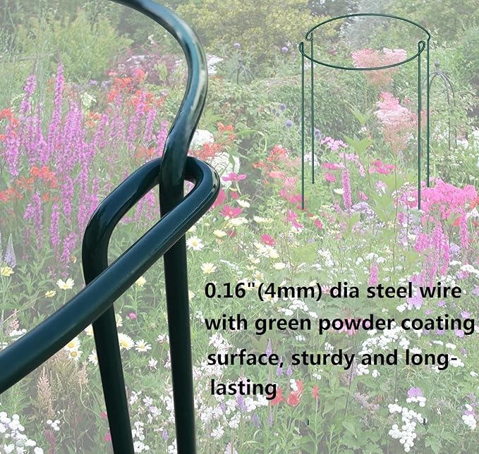 12 Pack 24 Inch High Plant Stake,Garden Plant Support,Half-Round Peony Cage Plant Ring Hoop