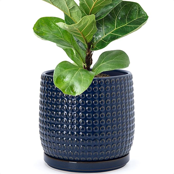 D'vine Dev 8 Inch Ceramic Beaded Stoneware Planter Pot - Flower Pot with Drainage Holes and Saucers for Indoor Succulent Plants or Flowers, Midnight Blue, 27-C-Q-3