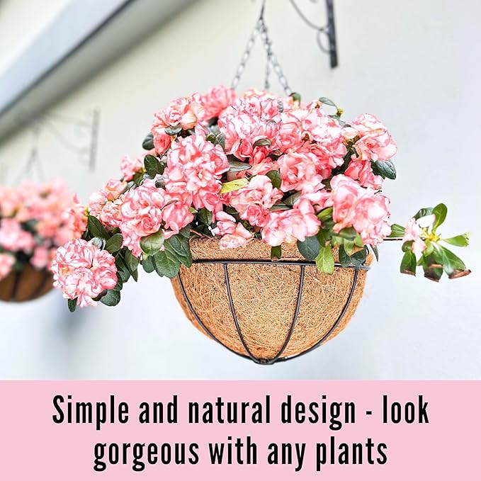 LaLaGreen Hanging Baskets for Outdoor Plants(6 Pack, 14 Inch) Large Hanging Planter with Coco Liner Round Flower Pots, Black Metal Wire Plant Holder Hook Hanger Deck Porch Modern Garden Balcony Decor