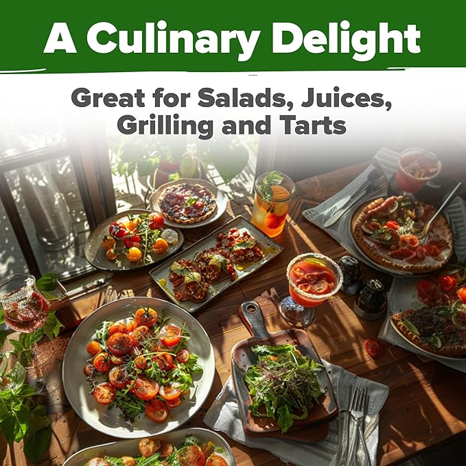 HOME GROWN Large Red Cherry Tomato Seeds Pack 500 High Germination Heirloom Seeds Vegetable Seeds for Garden,Homestead & Self-Sufficient Growing(Solanum lycopersicum)