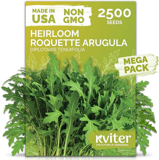 KVITER 2500 Roquette Arugula Seeds (Diplotaxis tenuifolia) - Arugula Fresh Organic & Non GMO Perennial Seed, Wild/Wall Rocket - Heirloom Herb Seeds for Planting in Outdoor & Indoor Garden