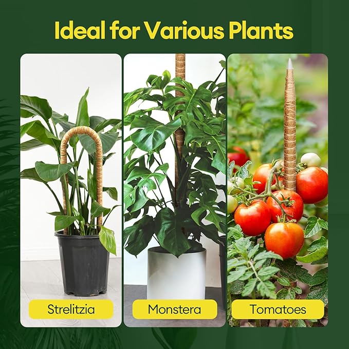 Maygrove 3-Pack 28” Bendable Moss Pole Monstera Plant Support for Climbing Indoors Plants, Coir Moss Poles Sticks DIY, Plant Support Stake for Potted Plants
