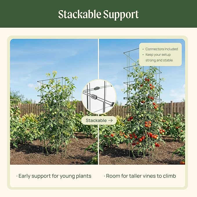 Vego Garden Tomato Cage 16.5" Square Heavy-Duty for Garden & Pots, Rust-Resistant Tomato Stackable Plant Cage Trellis Support for Climbing Vegetables Plants