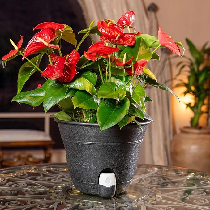 Bernini FirmaStone 15" Self-Watering Planters, Set of 2 – Durable Indoor/Outdoor Pots with Drainage Plug & Built-in Reservoir – Lightweight Garden Planters for Patio, Porch, Balcony (Burgundy)