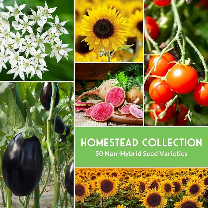 Homesteader Seed Vault - 50 Packs of Non-GMO Heirloom Vegetable, Fruit, Herb Seeds for Planting a Victory Garden - Grow Survival Food for Storage, Emergency Preparedness - Survival Garden Seeds
