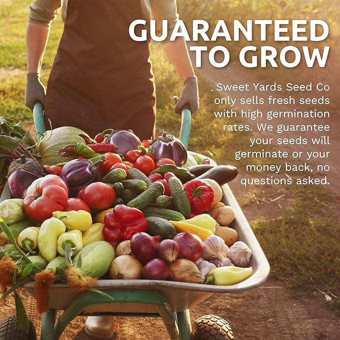 Organic Herbal Tea Seeds Variety Pack - 16 Individual Packs - 2026 Season - Mint, Lavender, Chamomile and More! for Indoor & Outdoor Planting (Non-GMO, Certified Organic)