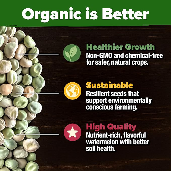 HOME GROWN - Snap Pea Seeds for Planting - Organic, Heirloom Cascadia Variety - 100 Non-GMO Vegetable Seeds - Cool Season Crop for Containers - Sweet Flavor, Fast Germination (Pisum sativum)