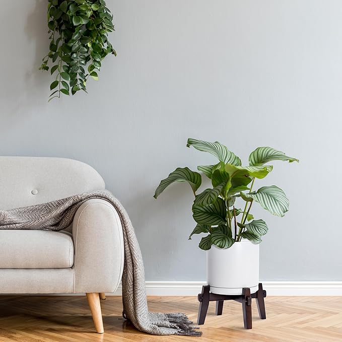 D'vine Dev Ceramic Planter with Wood Stand - 8 Inch Mid Century Modern Cylinder Indoor Plant Pot Set for Indoor Plants & Flowers, White, 55-A-Y-1