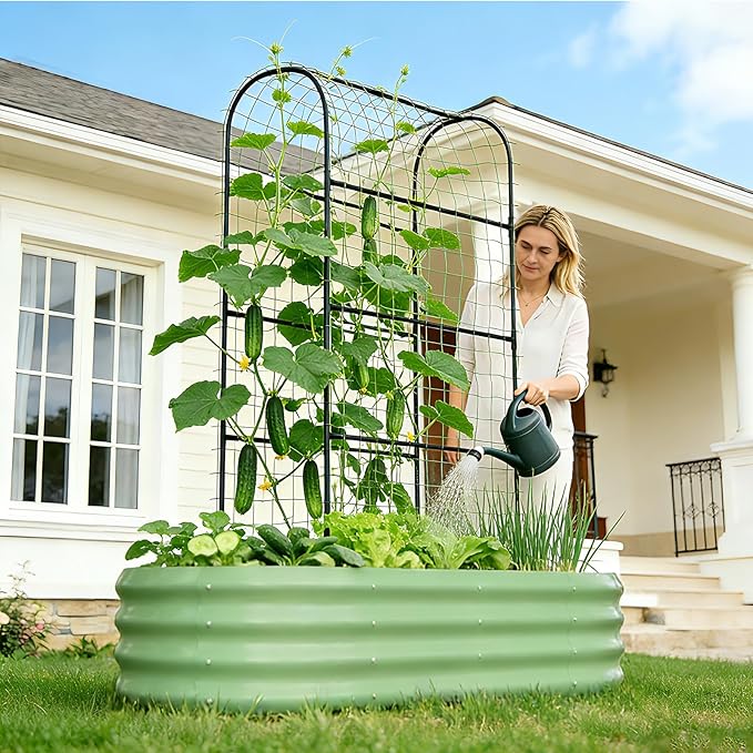 DoCred 2 in 1 Galvanized Raised Garden Bed, 1Pcs Garden Planter Box with 71" H Trellis for Climbing Plants, Outdoor Gardening Raised Beds with Climbing Net for Fruits, Vegetables, Flower (Green)