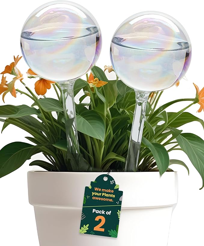Iridescent Self Watering Globes, Glass Rainbow Plant Watering Globes, Self Watering Planter Insert, Automatic Plant Waterer Indoor (Large-2 Pcs Iridescent, Large)