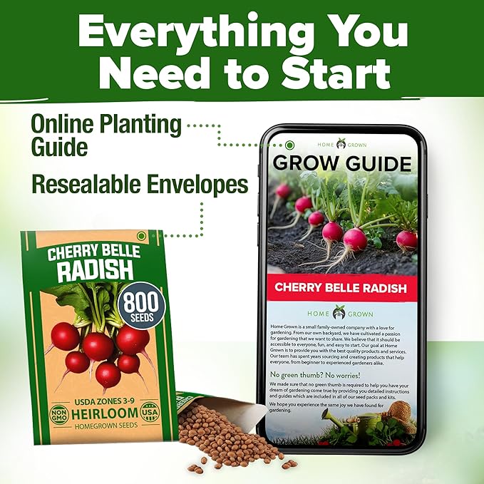 HOME GROWN Non GMO Cherry Belle Radish Seeds 800+ Heirloom Vegetable Seeds for Planting Outdoors Harvest in 30 Days Red Radishes, Spring and Fall Garden(Raphanus Sativus)