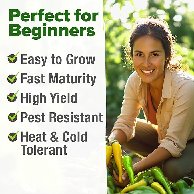 HOME GROWN Non GMO Banana Pepper Seeds Pack 94 Heirloom Vegetable Seeds High Germination Sweet Peppers for Planting Indoors or Outdoor Garden (Capsicum annuum) (1pack)