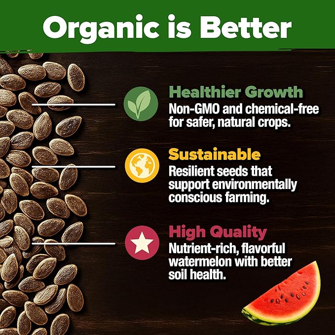 HOME GROWN Non GMO Organic Watermelon Vegetable Seeds (Crimson Sweet) 15 Non-GMO, Heirloom Water Melon (7g) for Planting in Home Gardens or Beds Outdoors Citrullus lanatus