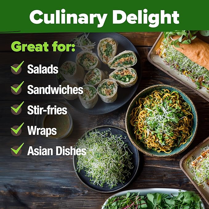 HOME GROWN Non GMO Alfalfa Sprout Seeds 16oz Bulk Pack with Thousands of Seeds Alfalfa for Sprouting & Microgreens Indoor Outdoor Growing Resealable Bag High Germination