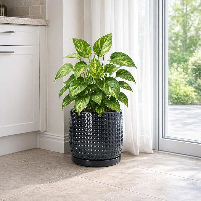 D'vine Dev 8 Inch Ceramic Beaded Stoneware Planter Pot - Flower Pot with Drainage Holes and Saucers for Indoor Succulent Plants or Flowers, Glossy Black, 27-C-Q-2