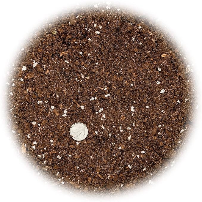 GARDENERA Citrus Tree Potting Soil Mix, Special Blend for Indoor Oranges, Lemons, Limes and More - (3 Quart Bag)