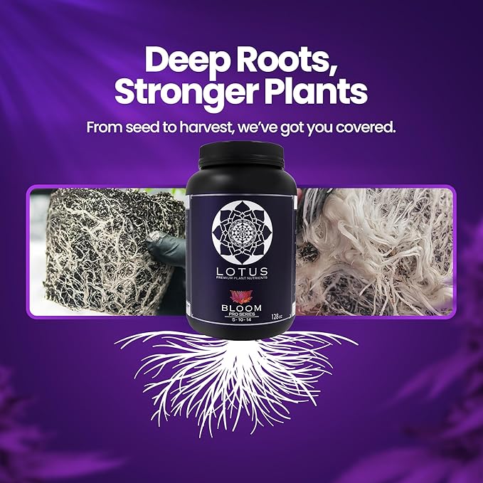 Bloom Pro Series - Hydroponic Plant Nutrients and Fertilizer, Water Soluble Plant Food, for Coco Coir Hydro and Soil, Enhances Flowering and Fruiting, Indoor and Outdoor Grows (128oz)