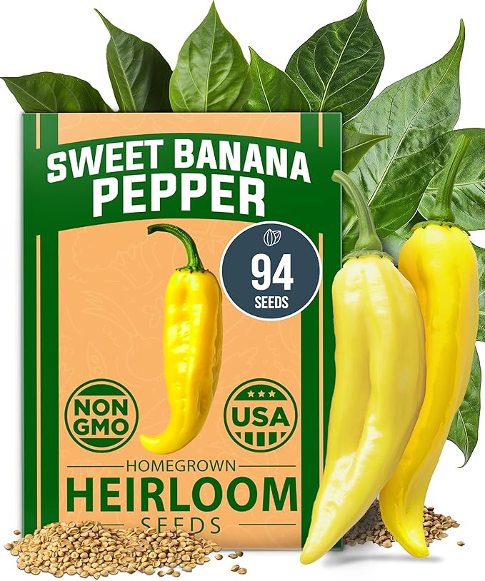 HOME GROWN Non GMO Banana Pepper Seeds Pack 94 Heirloom Vegetable Seeds High Germination Sweet Peppers for Planting Indoors or Outdoor Garden (Capsicum annuum) (1pack)