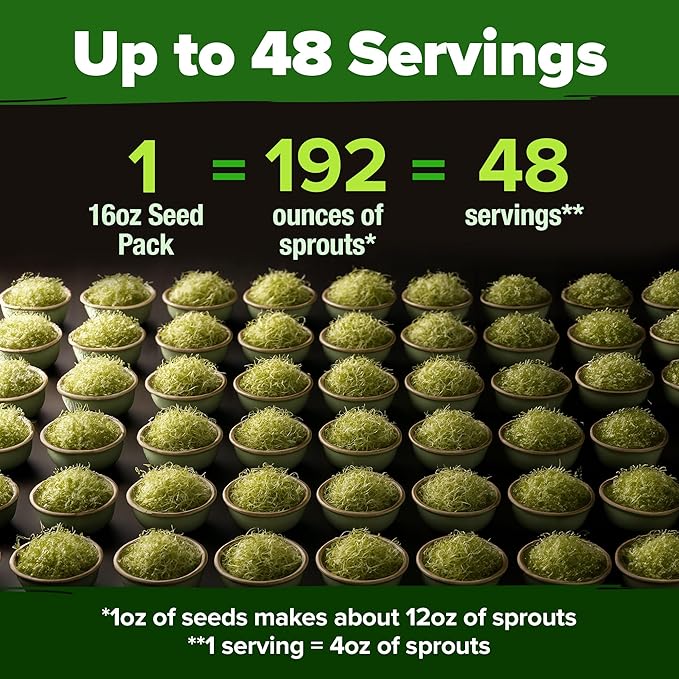 HOME GROWN Non GMO Alfalfa Sprout Seeds 16oz Bulk Pack with Thousands of Seeds Alfalfa for Sprouting & Microgreens Indoor Outdoor Growing Resealable Bag High Germination