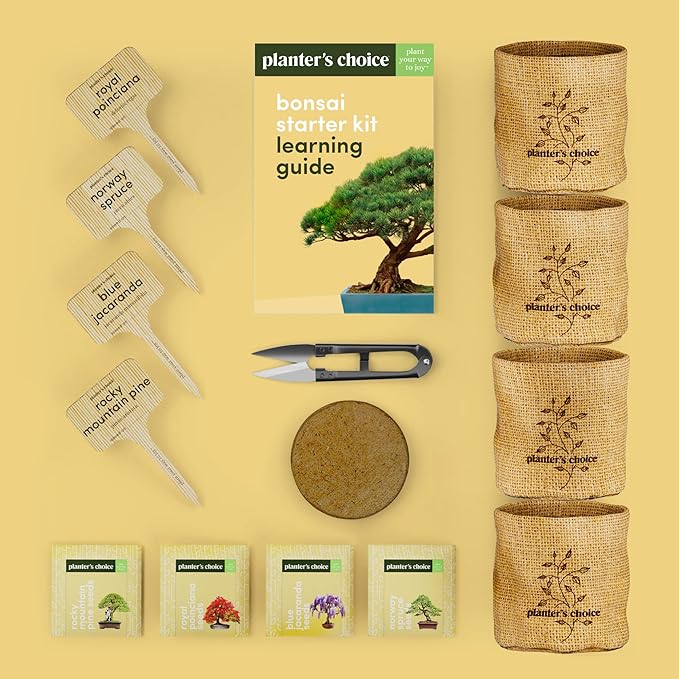 Bonsai Starter Kit - Gardening Easter Gift for Women & Men - Bonsai Tree Growing Garden Crafts Hobby Kits for Adults, Unique DIY Hobbies for Plant Lovers - Unusual Christmas Gifts Ideas