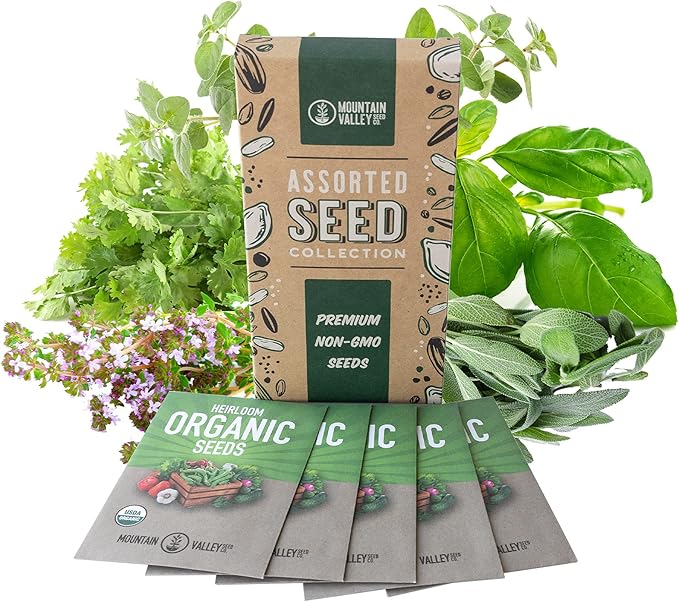 Organic Italian Herb Garden Seed Collection - 5 Non-GMO, Organic Seed Packets - Oregano, Thyme, Basil, Sage, Cilantro - Kitchen Culinary Herb Gardening Seeds