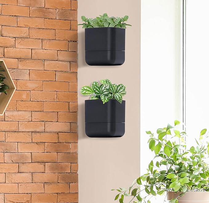 Phoenix Vine 6.5-Inch Wall Mounted Self-Watering Planter Pot for Indoor Houseplants and Herbs | Modern Hanging Planter for Window Sills, Bathroom Walls, Home & Office Décor, Black, Set of 2, 01-WP-B-2