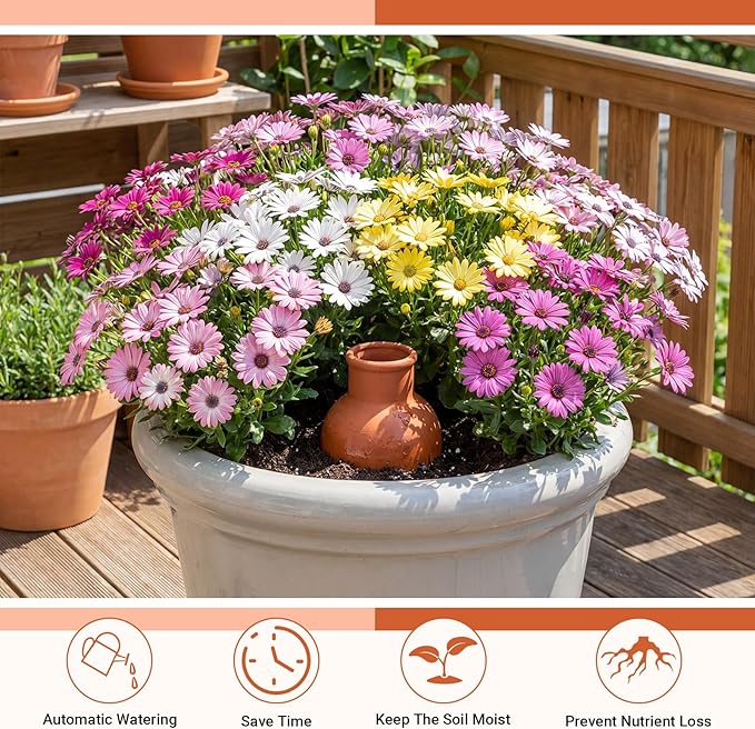 12 Pcs 15 oz Self Watering Ollas Terracotta Pots with Lid Terra Cotta Clay Plant Self Watering System Pot Automatic Plant Irrigation Devices for Indoor Outdoor Garden