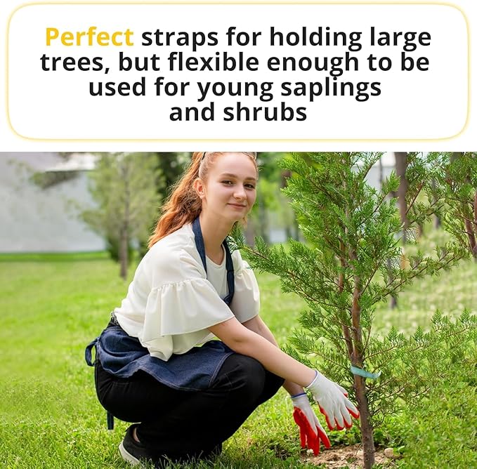 Green Tree Tie Webbing Strap 3/4" x 250' - Heavy Duty Tree Straps for Staking, Guying, Securing & Outdoor Use - Garden Ties Webbing Flat Rope for Heavy Plants & Trees Support by IDL Packaging