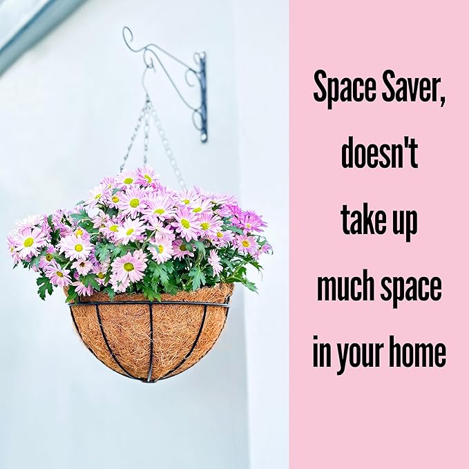 LaLaGreen Hanging Baskets for Plants (6 Pack, 10 Inch) Hanging Planter Outdoor with Coco Liner, Metal Wire Flower Basket Pots Holder Hanger Hook Deck Patio Porch Garden Balcony Outside Decoration