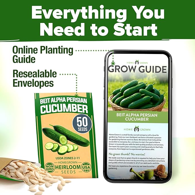 HOME GROWN Non GMO Persian Cucumber Seeds 50+ Heirloom Non-GMO, High-Yielding Beit Alpha Variety | Fast Growing, Sweet Tender Skin, Home Vegetable Garden Seeds (Cucumis sativus)