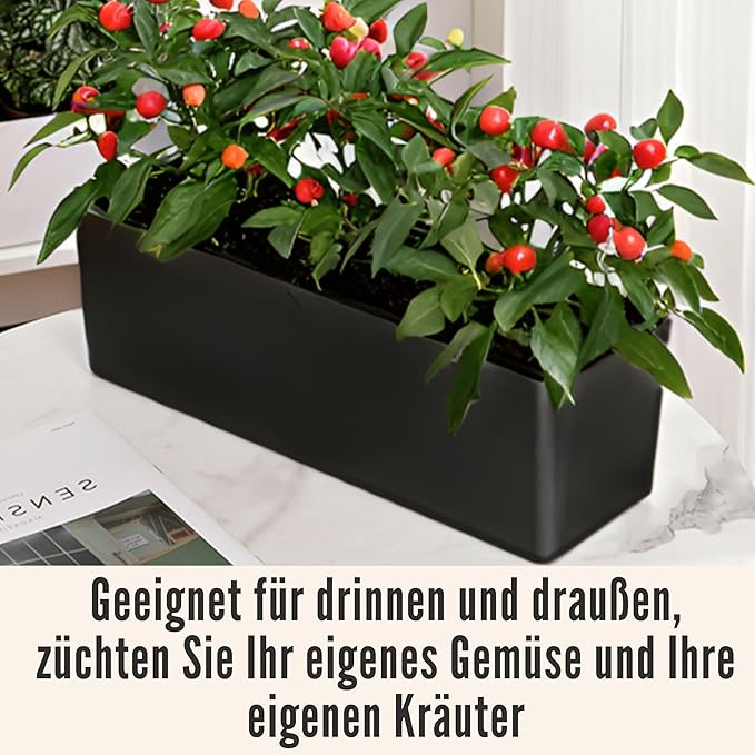 LaLaGreen Planter Box for Indoor Plants (16 Inch, 2 Pack) Black Rectangular Self Watering Flower Pot, Large Window Boxes Planters with Drainage Decorative Modern Balcony Windowsill Herbs Home Garden