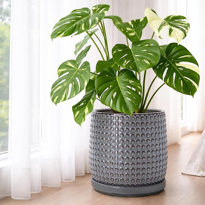 D'vine Dev 10 Inch Ceramic Beaded Stoneware Planter Pot - Flower Pot with Drainage Holes and Saucers for Indoor Succulent Plants or Flowers, Graphite Blue, 27-C-P-9