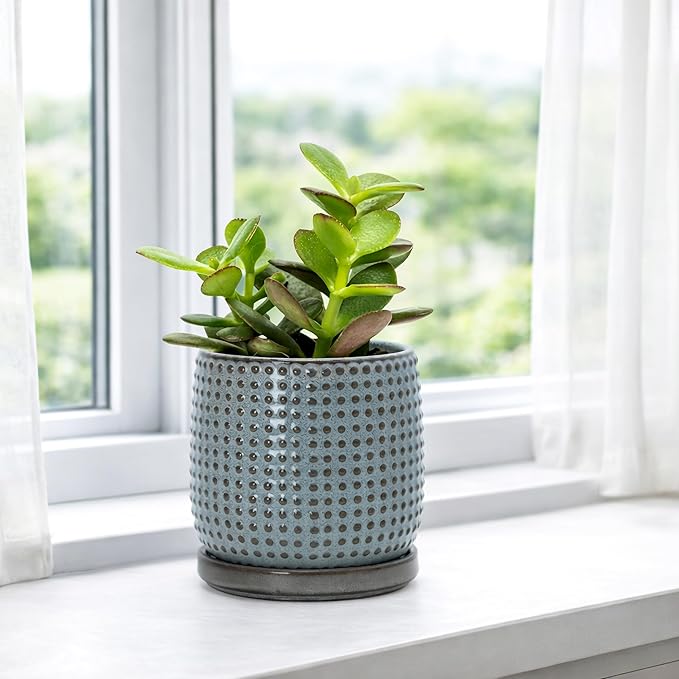 D'vine Dev 4 Inch Ceramic Beaded Stoneware Planter Pot - Flower Pot with Drainage Holes and Saucers for Indoor Succulent Plants or Flowers, Graphite Blue, 27-C-Z-9