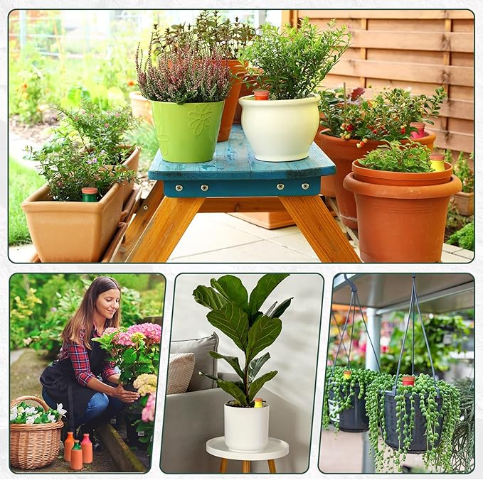 4 Pcs 24oz Ollas Terracotta Watering Pots Colorful Self Watering Planter Insert Terracotta Globes Clay for Outdoor Indoor Garden Plants, Easy to Refill