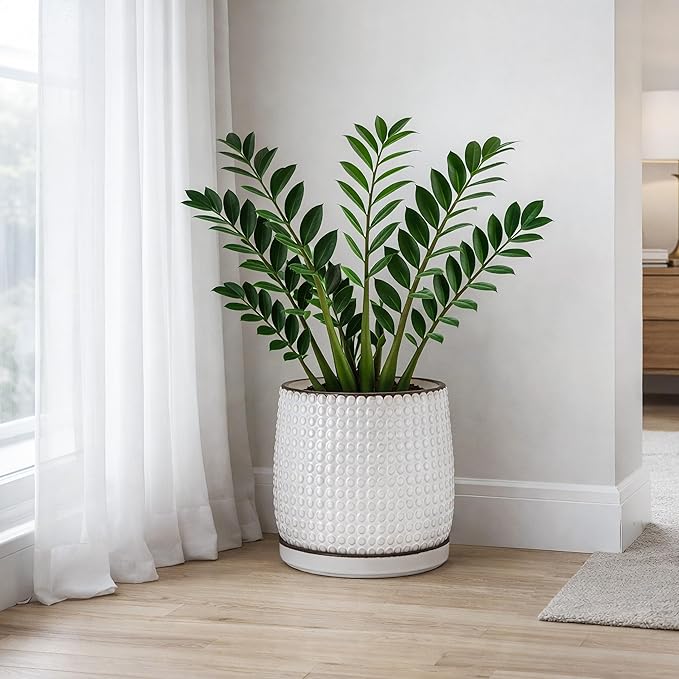 D'vine Dev 10 Inch Ceramic Beaded Stoneware Planter Pot - Flower Pot with Drainage Holes and Saucers for Indoor Succulent Plants or Flowers, Smoked White, 27-C-P-1