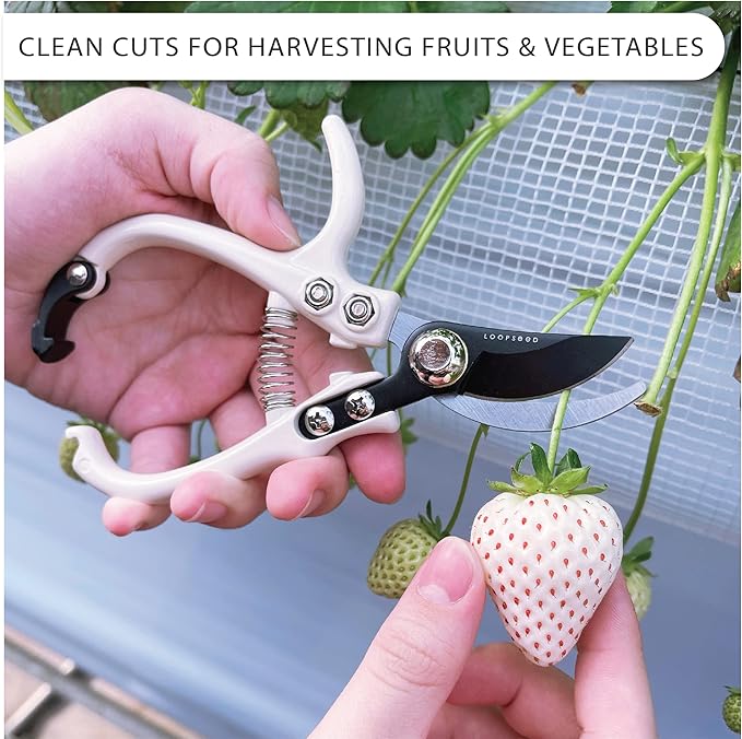 LOOPSEED Bypass Pruning Shears Hand Pruner Garden Trimming Scissors Plant Trimmers Herb Snips Flower Clippers Ergonomic Handle Modern Garden Tools (Classic Cream)