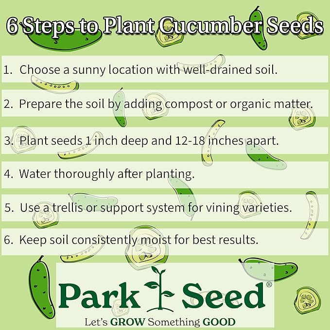 Park Seed Sir Crunch a Lot Hybrid Cucumber Seeds – Planting Cucumbers, Pack of 100, 60 Days to Maturity, Non-GMO, Long Vegetables, Bitter-Free Fruit, Disease-Resistant, Ideal for Garden & Containers