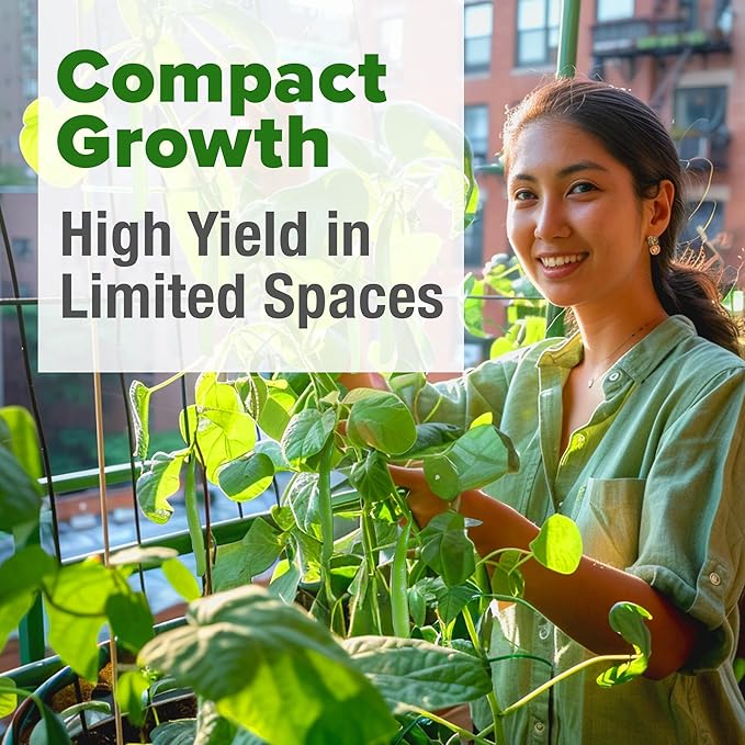 HOME GROWN Non GMO Contender Bush Bean Pack - 28 Heirloom Green Beans, Vegetable Seeds for Planting, Emergency Food Supply (Phaseolus vulgaris)