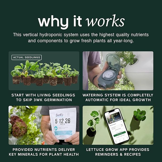 Farmstand Starter Kit with Glow Rings and 24 Seedling Credits | Medium Hydroponic Growing System Kit | Vertical Garden Planter Tower | 4ft 10in Tall