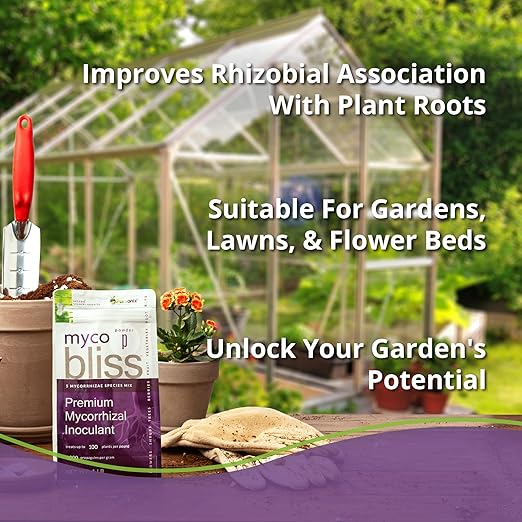 Myco Bliss Powder (200 g) - Mycorrhizal Fungi for Plants - 5 Strain Mycorrhizal Inoculant with 1000 Propagules Per Gram - Highly Concentrated Mycorrhizae for Plants, Gardening, & Potting Soil