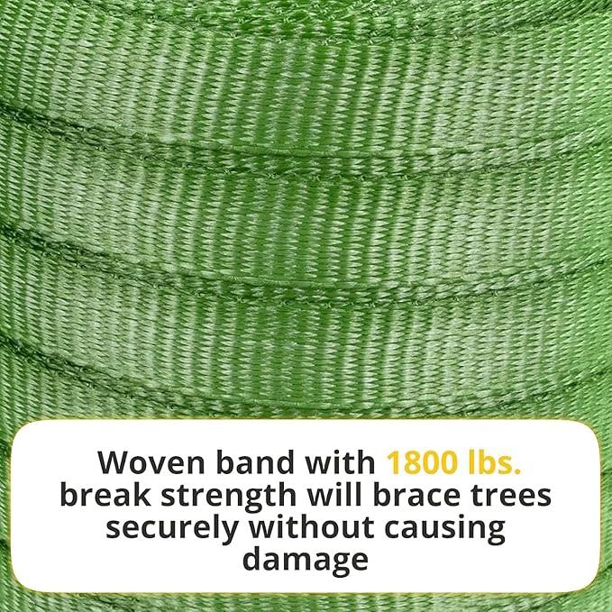 Green Tree Tie Webbing Strap 3/4" x 250' - Heavy Duty Tree Straps for Staking, Guying, Securing & Outdoor Use - Garden Ties Webbing Flat Rope for Heavy Plants & Trees Support by IDL Packaging