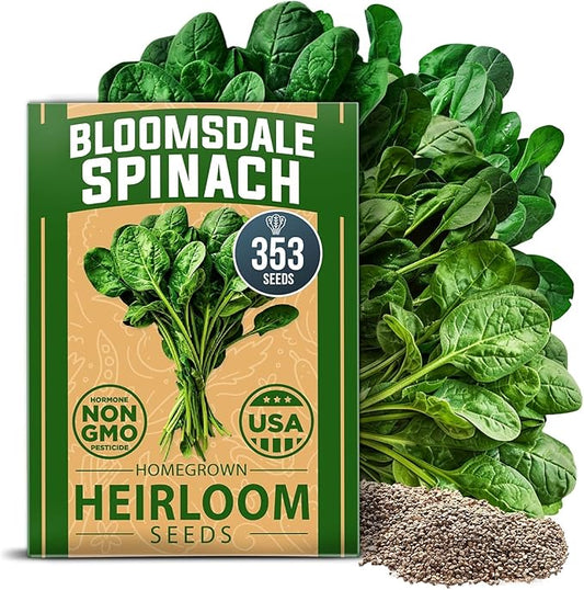 HOME GROWN Non GMO Bloomsdale Spinach Seeds Pack 353 Heirloom Seeds High Germination Spinach for Indoor, Outdoor, Hydroponic Planting & Home Gardens (Spinacia oleracea)