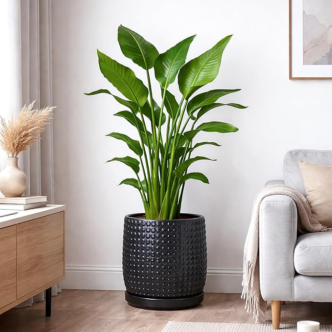 D'vine Dev 10 Inch Ceramic Beaded Stoneware Planter Pot - Flower Pot with Drainage Holes and Saucers for Indoor Succulent Plants or Flowers, Ebony Matte, 27-C-P-6