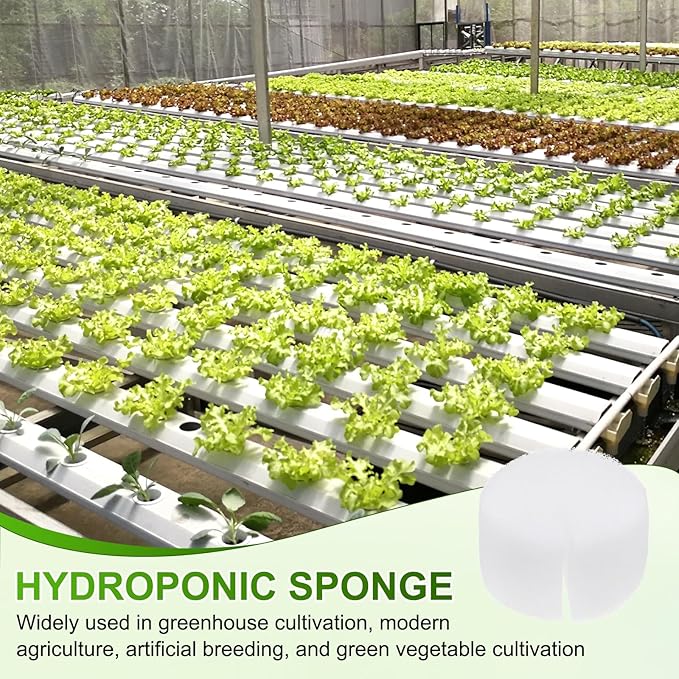 30-Pack Hydroponics Sponges, 1.77 Inch Growing Media Cylindrical Sponges for Planting Gardening Tool/Grow Seedlings/Home Vegetable Flower, Soilless Cultivation Seedling [White]