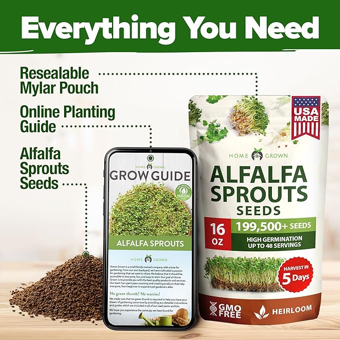 HOME GROWN Non GMO Alfalfa Sprout Seeds 16oz Bulk Pack with Thousands of Seeds Alfalfa for Sprouting & Microgreens Indoor Outdoor Growing Resealable Bag High Germination