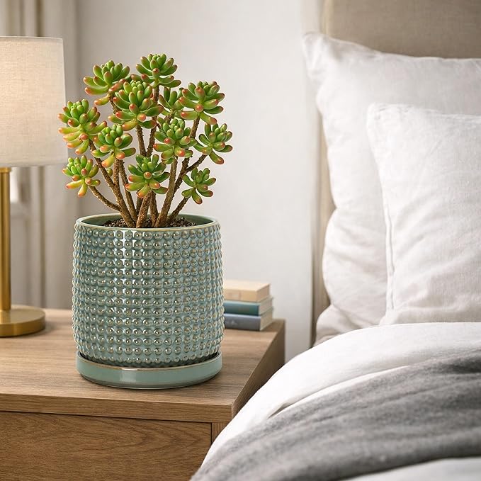 D'vine Dev 6 Inch Ceramic Beaded Stoneware Planter Pot - Flower Pot with Drainage Holes and Saucers for Indoor Succulent Plants or Flowers, Olive, 27-C-X-0