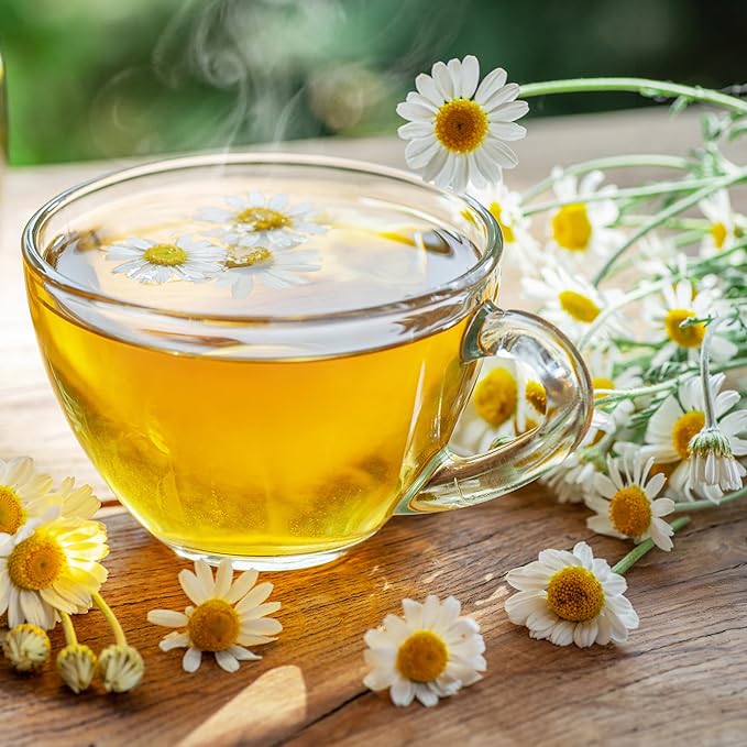 Back to The Roots 100% Organic Heirloom Seeds - Chamomile Seeds for Planting Value Pack (140mg Total)