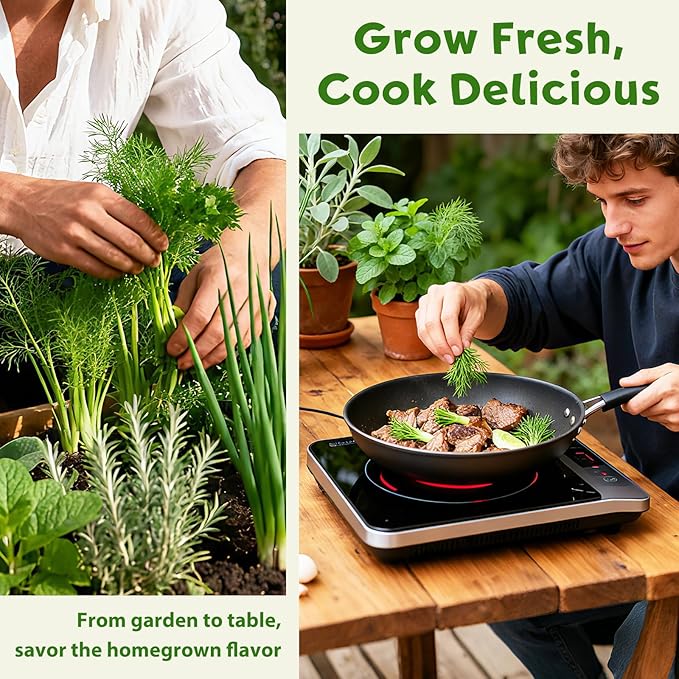 8 Herb Indoor Garden Kit for Beginners - Complete Windowsill Growing Gifts Set with Tools, Unique Christmas Birthday Gardening Gifts for Women, Mom, Men, Teenage Girls,Kitchen, Housewarming